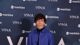 Vladislav Plevcik