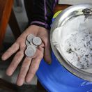 Philippines / Dengue / Mosquito / Bounty /