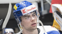 nemec