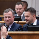 Migaľ, Šalitroš,