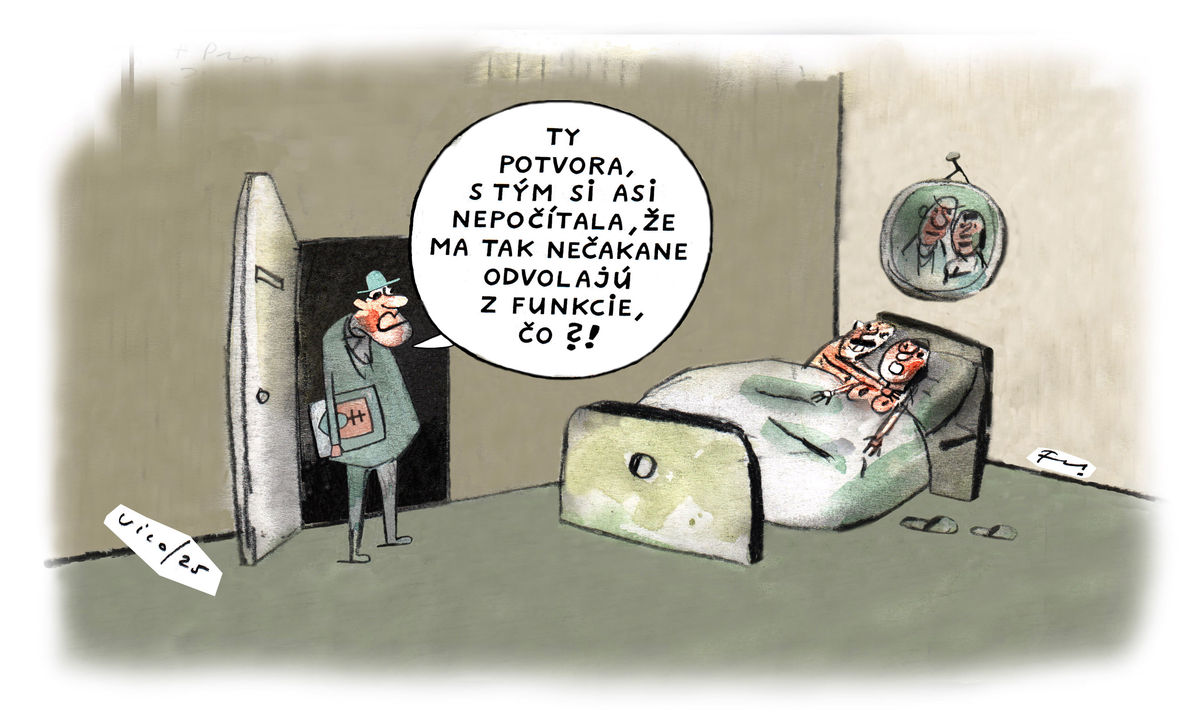 Karikatúra 20.02.2025