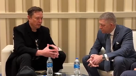 fico musk