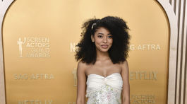 31st Annual SAG Awards - Arrivals