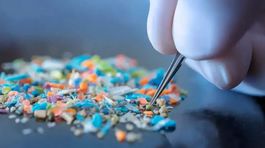 Sú v jedle, vo vode aj vo vzduchu. Tu je  päť spôsobov, akými môžu mikroplasty poškodzovať náš mozog