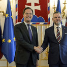 Rutte, Pellegrini