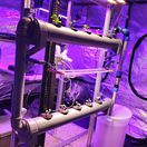 AI, pestovanie, rastliny,