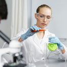 Ilustračná fotografia 