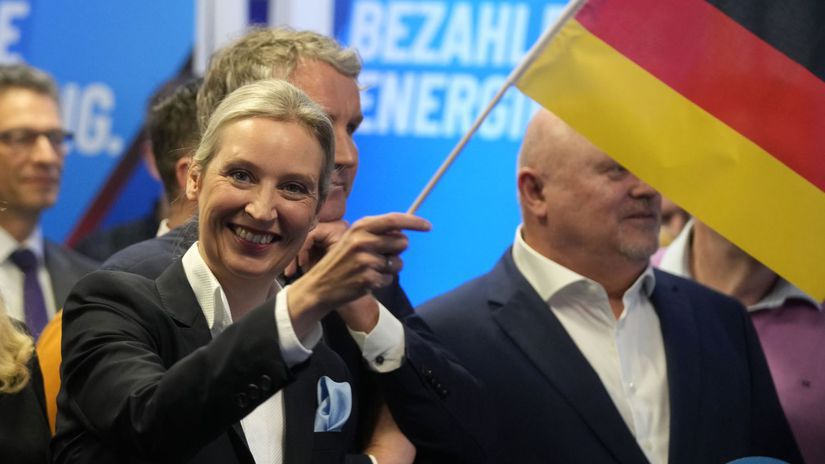 Alice Weidel, Alice Weidelová, AfD, Alternatíva...