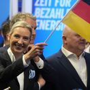 Alice Weidel, Alice Weidelová, AfD, Alternatíva pre Nemecko
