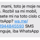 falošná SMS