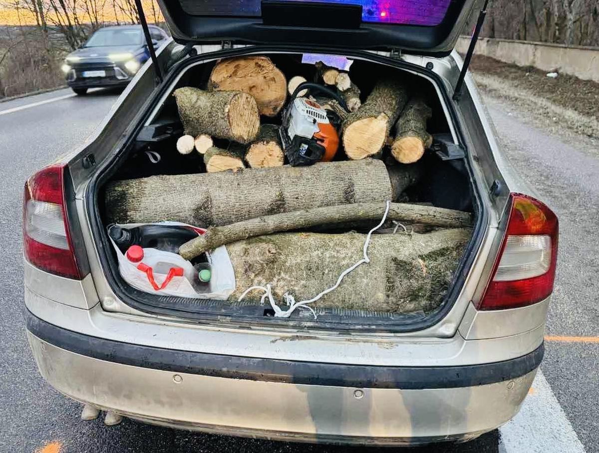 Ako uvádza, muž s autom plným dreva sa rozhodol...
