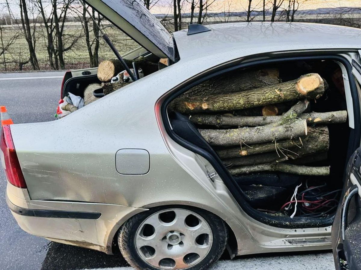 auto drevo nehode