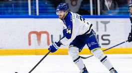 cehlárik shl