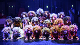 Zmyselné, roztopašné, utiahnuté, prítulné -...