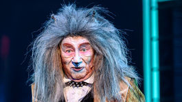  Krásnu postavu starého divadelného kocúra Múza...