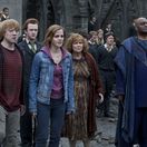 Harry Potter a Dary smrti 2