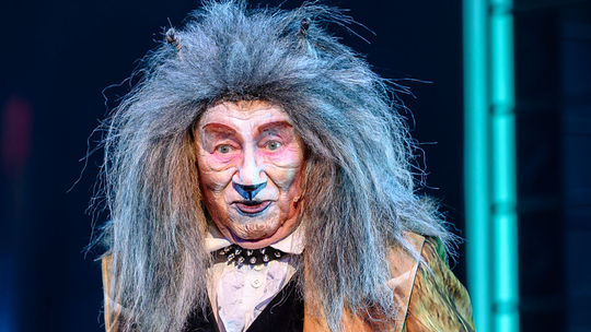Karol Čálik v muzikáli Cats, 2025