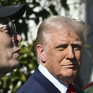 Trump, musk
