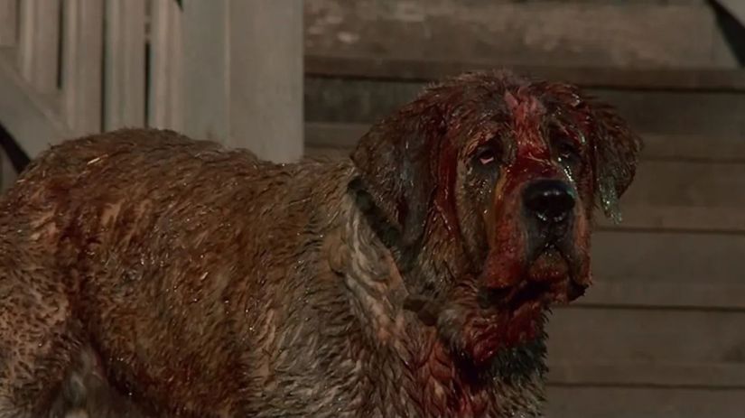 cujo