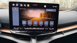 Cupra Tavascan VZ 340 (2025)