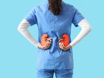 KVÍZ: Nenápadné orgány, bez ktorých to ale...