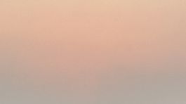 image00017