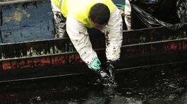 Oil / Spill / Viche river /
