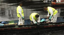 Oil / Spill / Viche river /