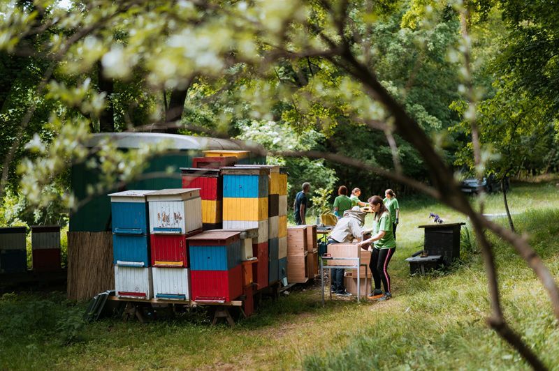 Dobrovoľníctvo je súčasťou „dm-a“.