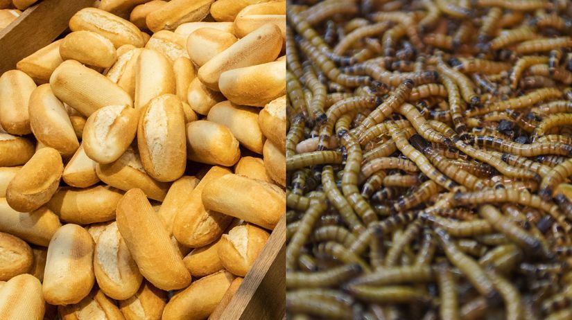 pečivo, larvy, červy