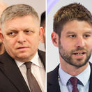 fico-simecka-matovic