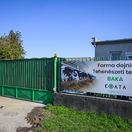SR Baka farma slintačka krívačka zasiahnutá TTX