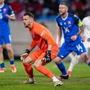 Martin Dúbravka