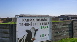 SR Baka farma slintačka krívačka zasiahnutá TTX
