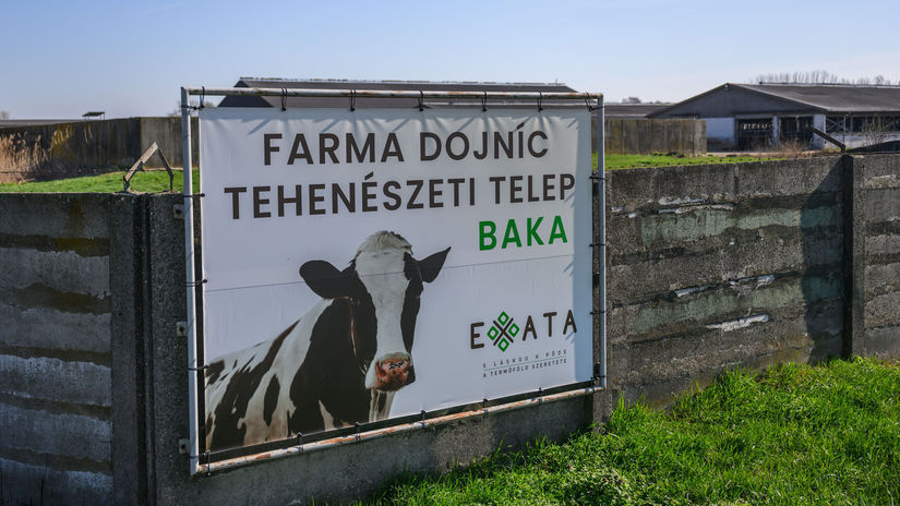 Baka / Farma / Krava /