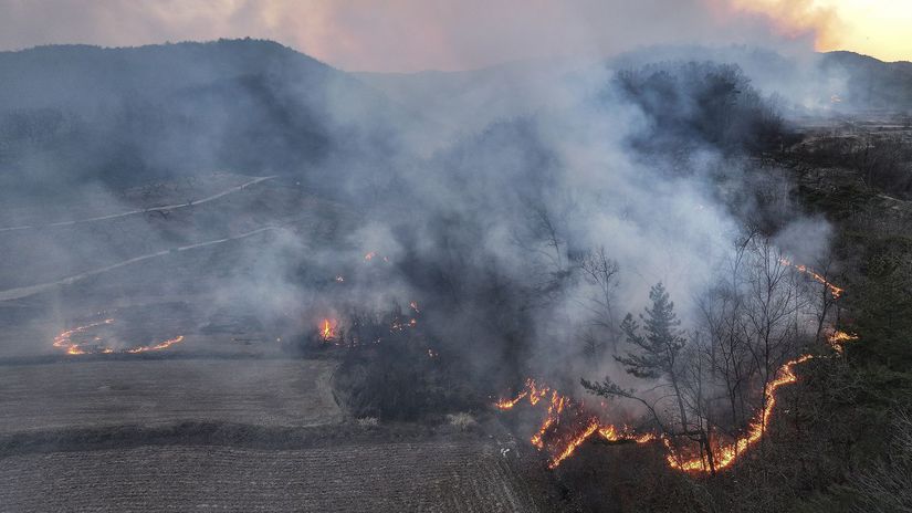 South Korea / Wildfires / Uiseong /