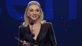 zdena-studenkova-nestandard1