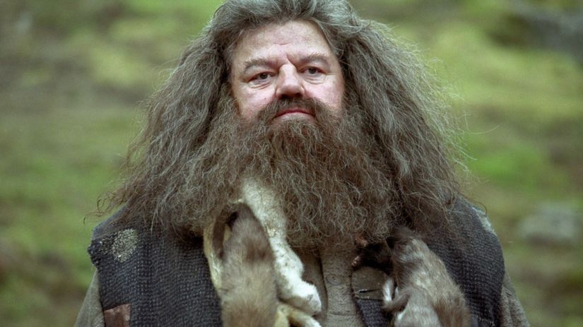 hagrid