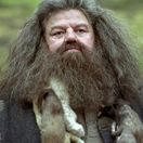 hagrid