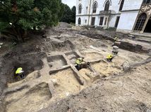 Unikátny výskum z juhu Slovenska ukázal,...