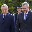 pellegrini, duda