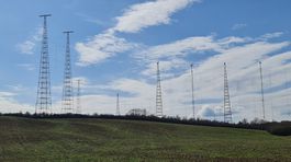 Takýchto stožiarov je v areáli 13, najvyššie...