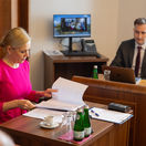 Výbor pre hospodárske záležitosti Denisa Saková