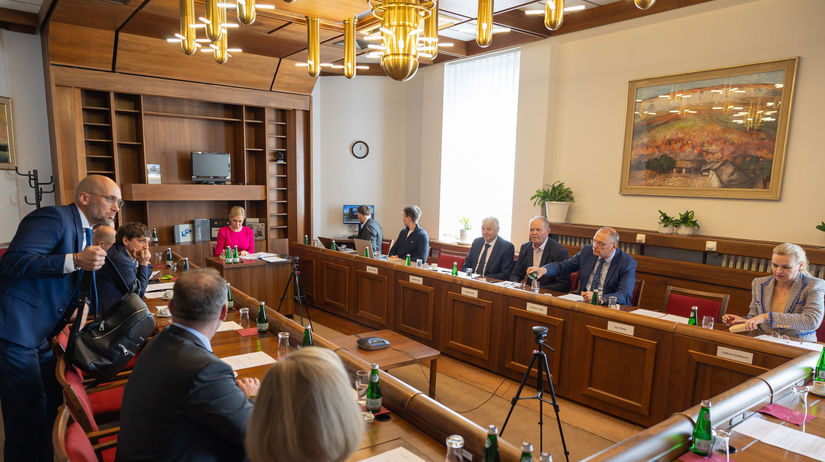 Ministerka hospodárstva Denisa Saková (Hlas) na...