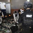 Drugs / Korea police / Coast Guard / SSAT /