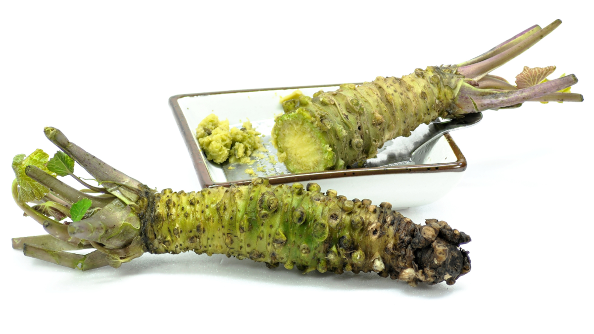 wasabi, japonský chren,