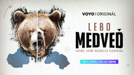 LEBO MEDVED