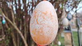 kraslica, vajíčkovník, Bojnice