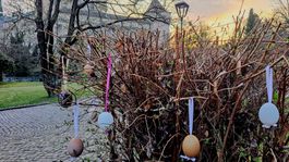 kríky, vajíčkovník, Bojnice