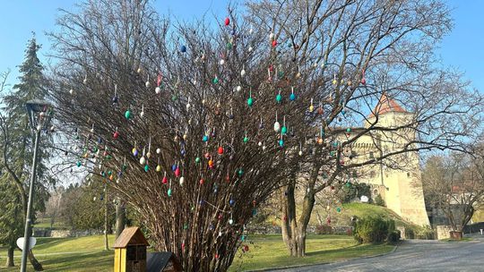 Vajíčkovník sa nachádza pri ceste k Bojnickému...